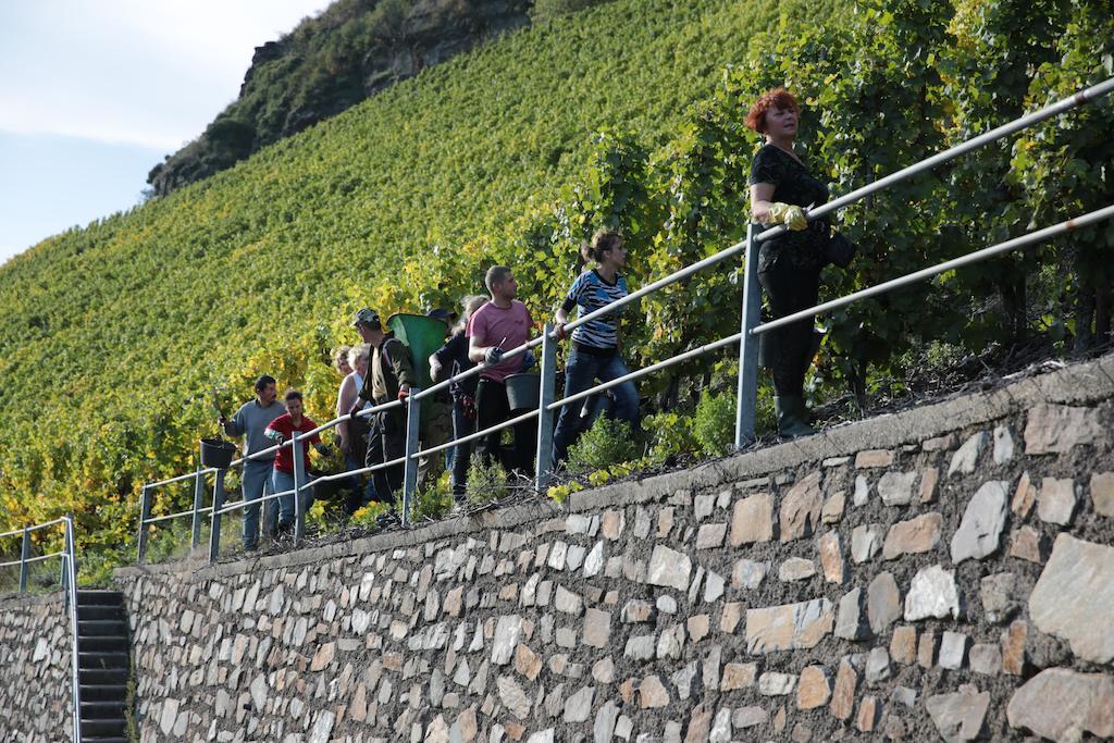 Hotel Zur Post Mulheim an der Mosel Bagian luar foto