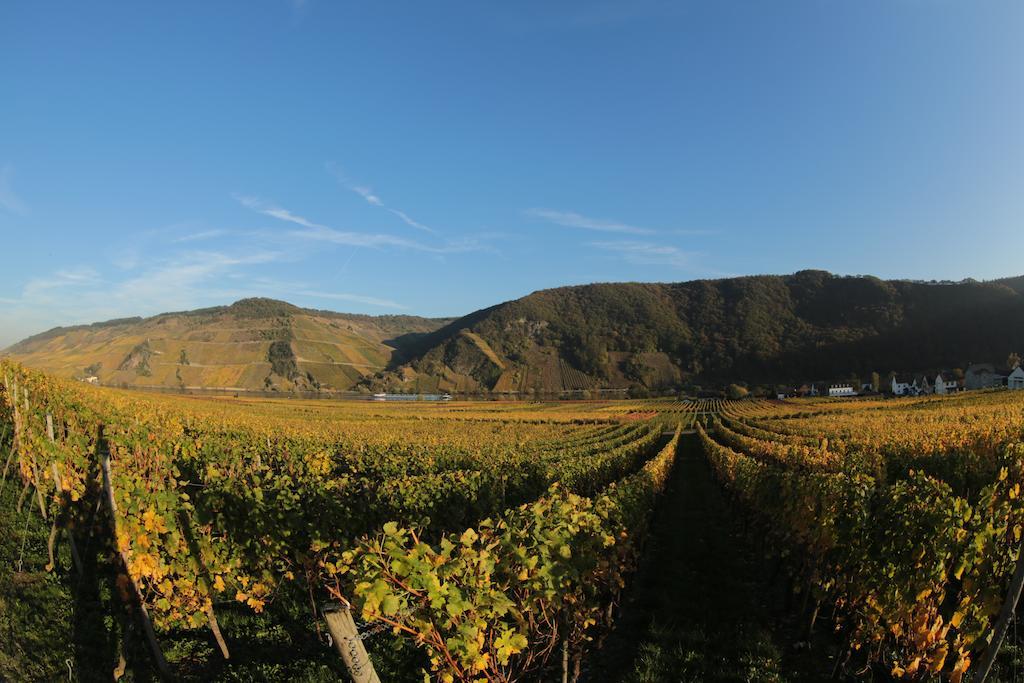 Hotel Zur Post Mulheim an der Mosel Bagian luar foto