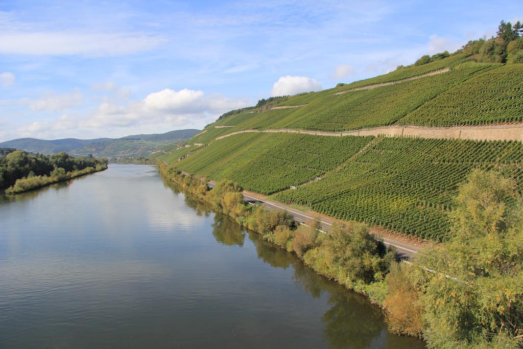 Hotel Zur Post Mulheim an der Mosel Bagian luar foto