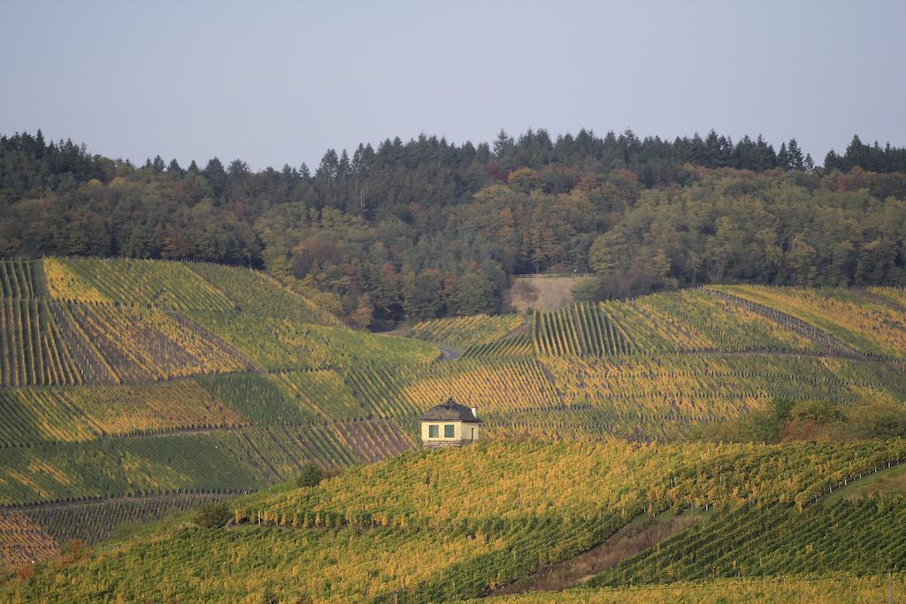 Hotel Zur Post Mulheim an der Mosel Bagian luar foto